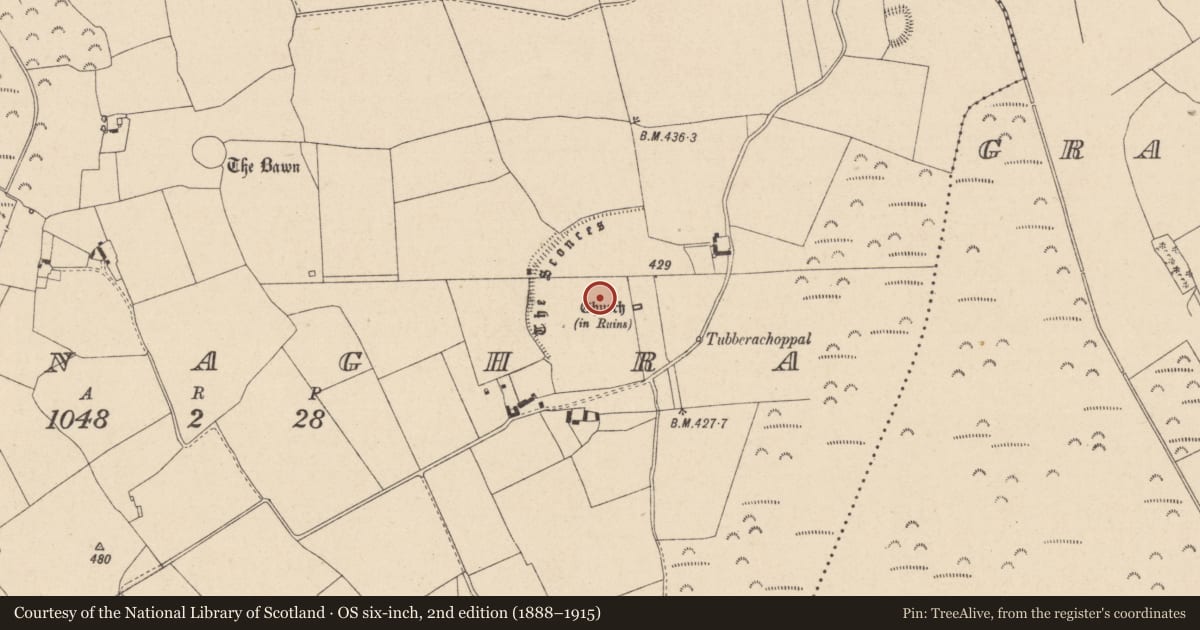Ordnance Survey six-inch map, 2nd edition (1888–1915) covering the location of Ecclesiastical enclosure, Baunaghra, County Laois, with a pin at the register's coordinates
