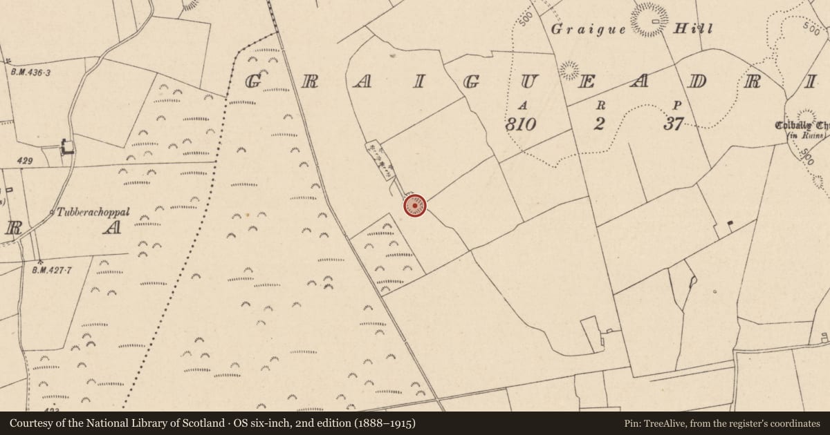 Ordnance Survey six-inch map, 2nd edition (1888–1915) covering the location of Ringfort - rath, Graigueadrisly, County Laois, with a pin at the register's coordinates