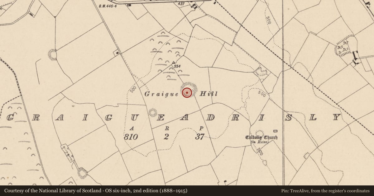 Ordnance Survey six-inch map, 2nd edition (1888–1915) covering the location of Ringfort - rath, Graigueadrisly, County Laois, with a pin at the register's coordinates