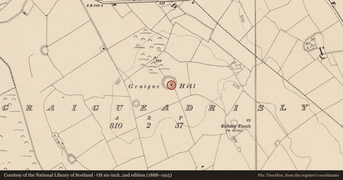 Ordnance Survey six-inch map, 2nd edition (1888–1915) covering the location of House - early medieval, Graigueadrisly, County Laois, with a pin at the register's coordinates
