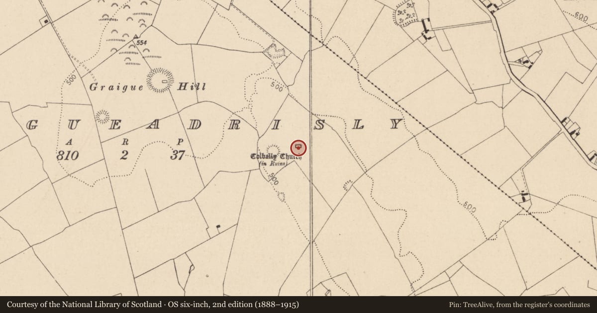 Ordnance Survey six-inch map, 2nd edition (1888–1915) covering the location of Church, Graigueadrisly, County Laois, with a pin at the register's coordinates
