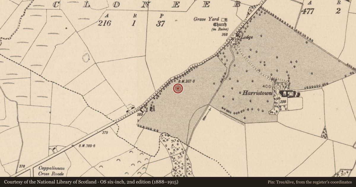 Ordnance Survey six-inch map, 2nd edition (1888–1915) covering the location of Ringfort - rath, Harristown, County Laois, with a pin at the register's coordinates