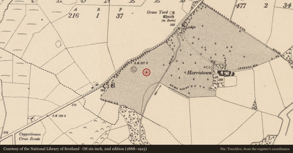 Ordnance Survey six-inch map, 2nd edition (1888–1915) covering the location of Enclosure, Harristown, County Laois, with a pin at the register's coordinates