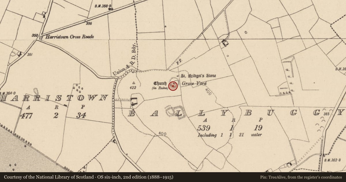 Ordnance Survey six-inch map, 2nd edition (1888–1915) covering the location of Religious house - unclassified, Ballybuggy, County Laois, with a pin at the register's coordinates