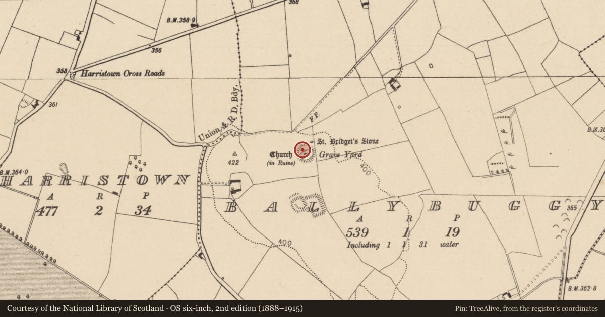 Ordnance Survey six-inch map, 2nd edition (1888–1915) covering the location of Graveyard, Ballybuggy, County Laois, with a pin at the register's coordinates