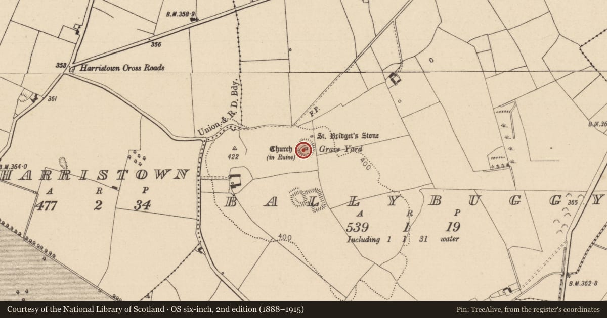 Ordnance Survey six-inch map, 2nd edition (1888–1915) covering the location of Ringfort - rath, Ballybuggy, County Laois, with a pin at the register's coordinates