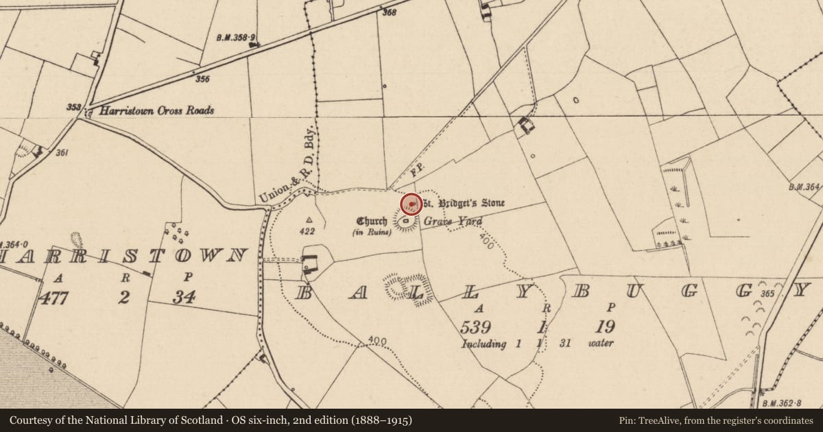 Ordnance Survey six-inch map, 2nd edition (1888–1915) covering the location of Bullaun stone, Ballybuggy, County Laois, with a pin at the register's coordinates