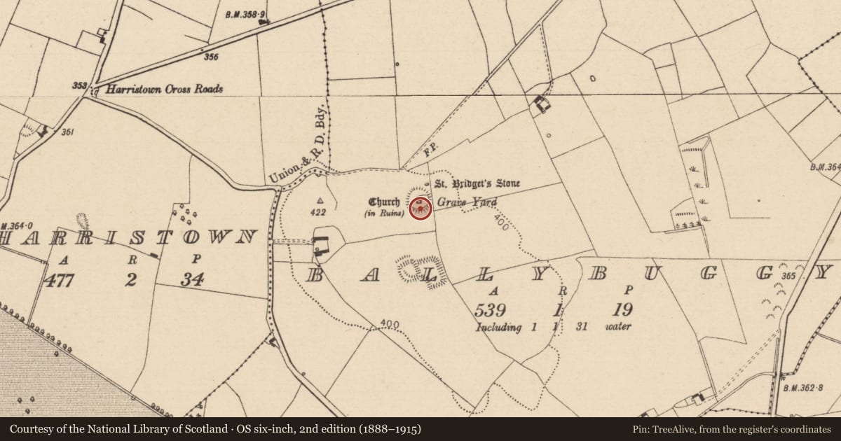 Ordnance Survey six-inch map, 2nd edition (1888–1915) covering the location of Ritual site - holy tree/bush, Ballybuggy, County Laois, with a pin at the register's coordinates