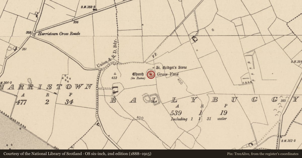 Ordnance Survey six-inch map, 2nd edition (1888–1915) covering the location of Architectural fragment, Ballybuggy, County Laois, with a pin at the register's coordinates