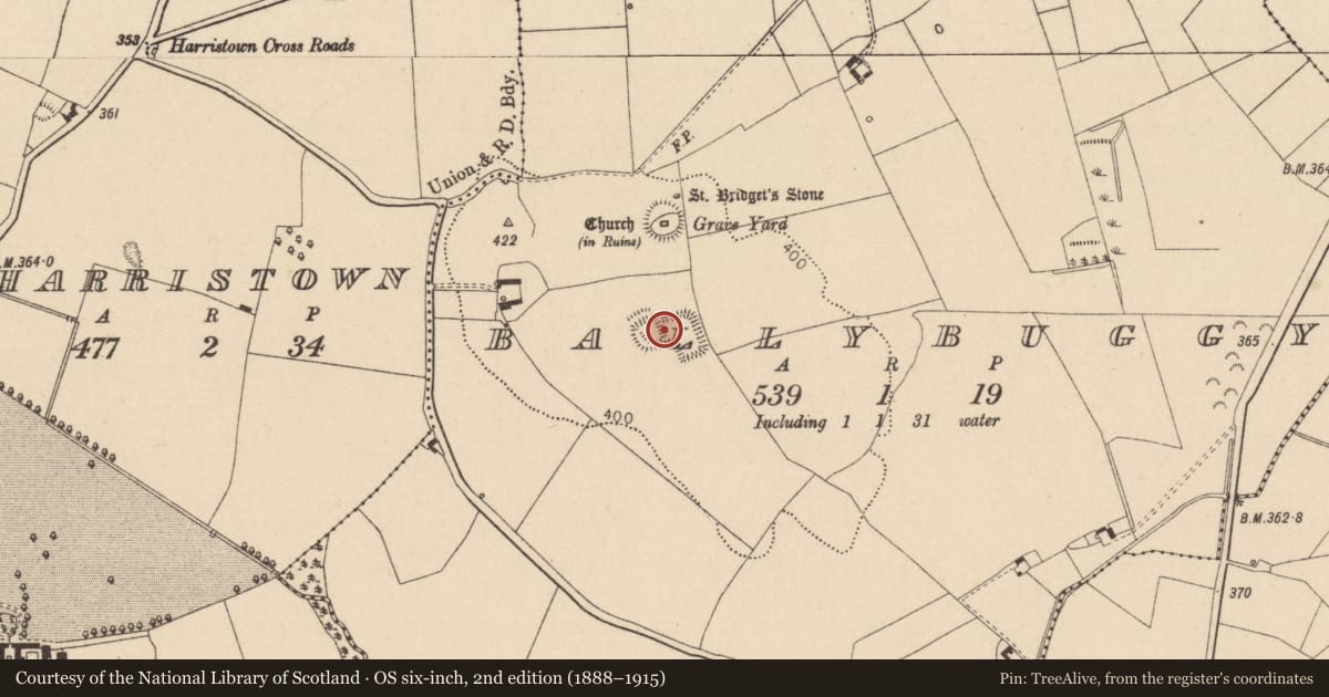 Ordnance Survey six-inch map, 2nd edition (1888–1915) covering the location of Settlement deserted - medieval, Ballybuggy, County Laois, with a pin at the register's coordinates