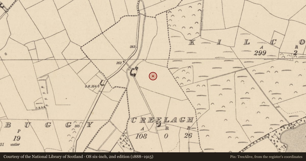 Ordnance Survey six-inch map, 2nd edition (1888–1915) covering the location of Enclosure, Creelagh, County Laois, with a pin at the register's coordinates