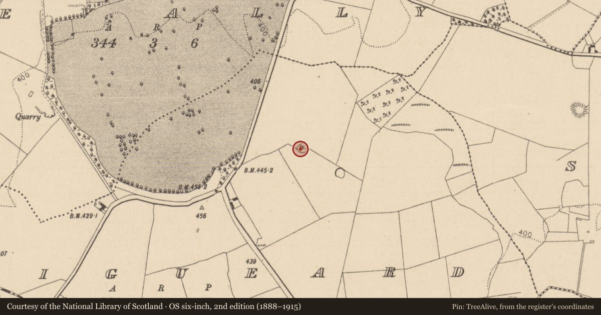 Ordnance Survey six-inch map, 2nd edition (1888–1915) covering the location of Ringfort - rath, Graigueard, County Laois, with a pin at the register's coordinates