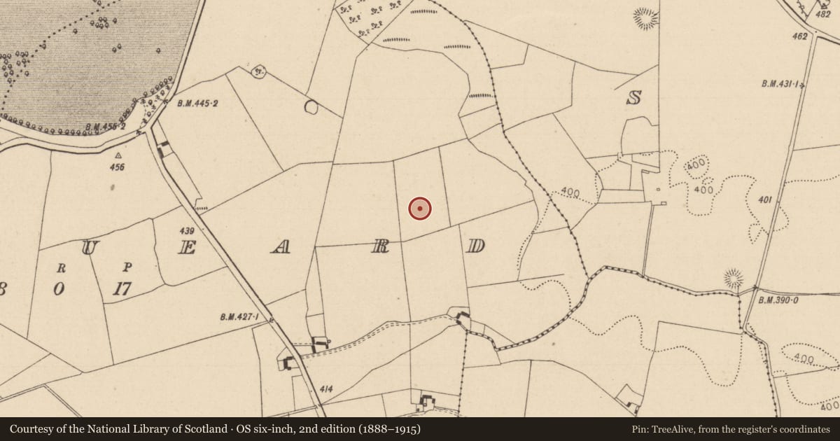 Ordnance Survey six-inch map, 2nd edition (1888–1915) covering the location of Enclosure, Graigueard, County Laois, with a pin at the register's coordinates