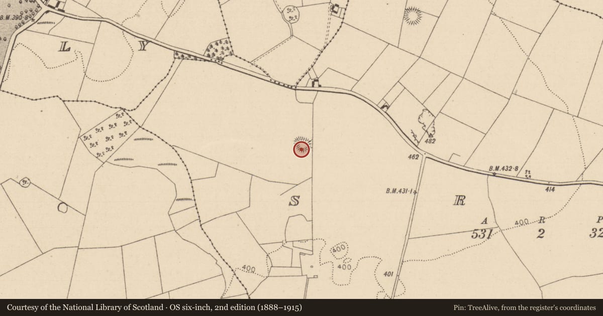Ordnance Survey six-inch map, 2nd edition (1888–1915) covering the location of Enclosure, Srah, County Laois, with a pin at the register's coordinates