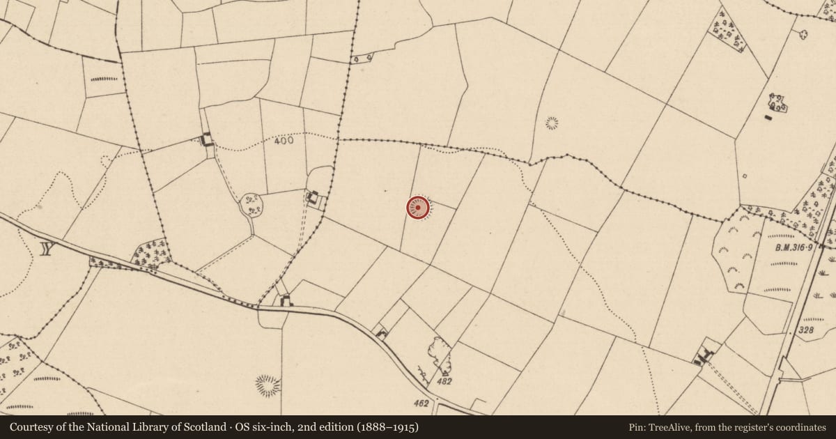 Ordnance Survey six-inch map, 2nd edition (1888–1915) covering the location of Ringfort - rath, Srah, County Laois, with a pin at the register's coordinates