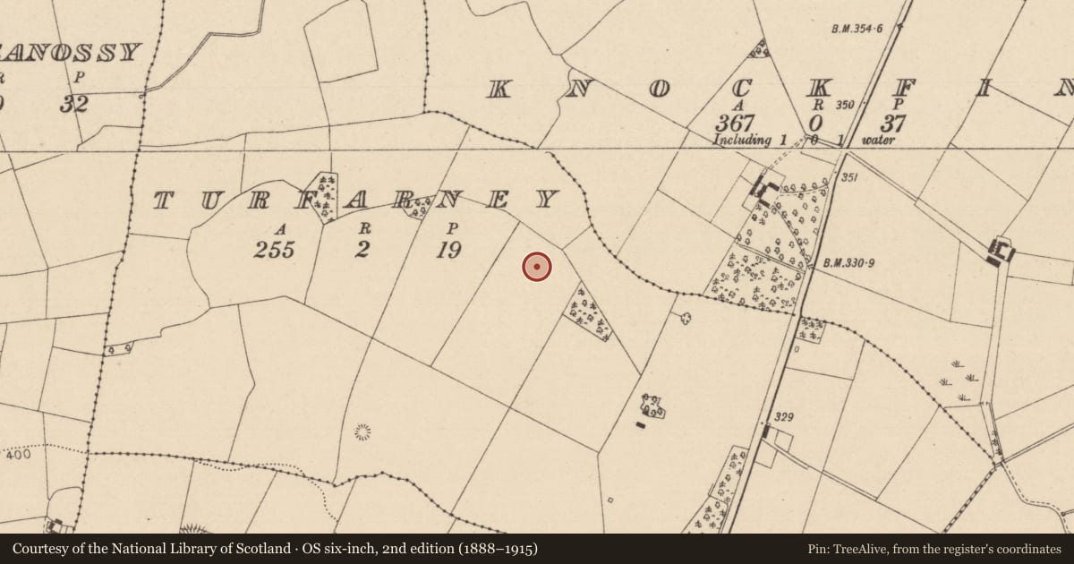 Ordnance Survey six-inch map, 2nd edition (1888–1915) covering the location of Moated site, Turfarney, County Laois, with a pin at the register's coordinates