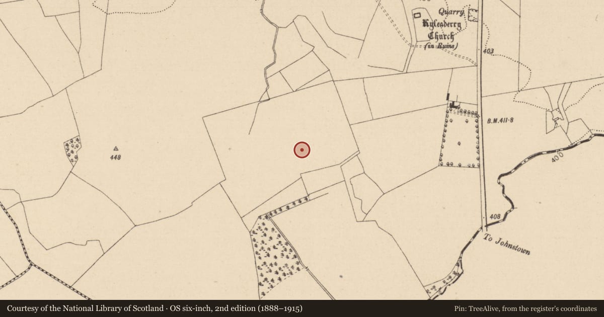Ordnance Survey six-inch map, 2nd edition (1888–1915) covering the location of Enclosure, Rossdarragh, County Laois, with a pin at the register's coordinates
