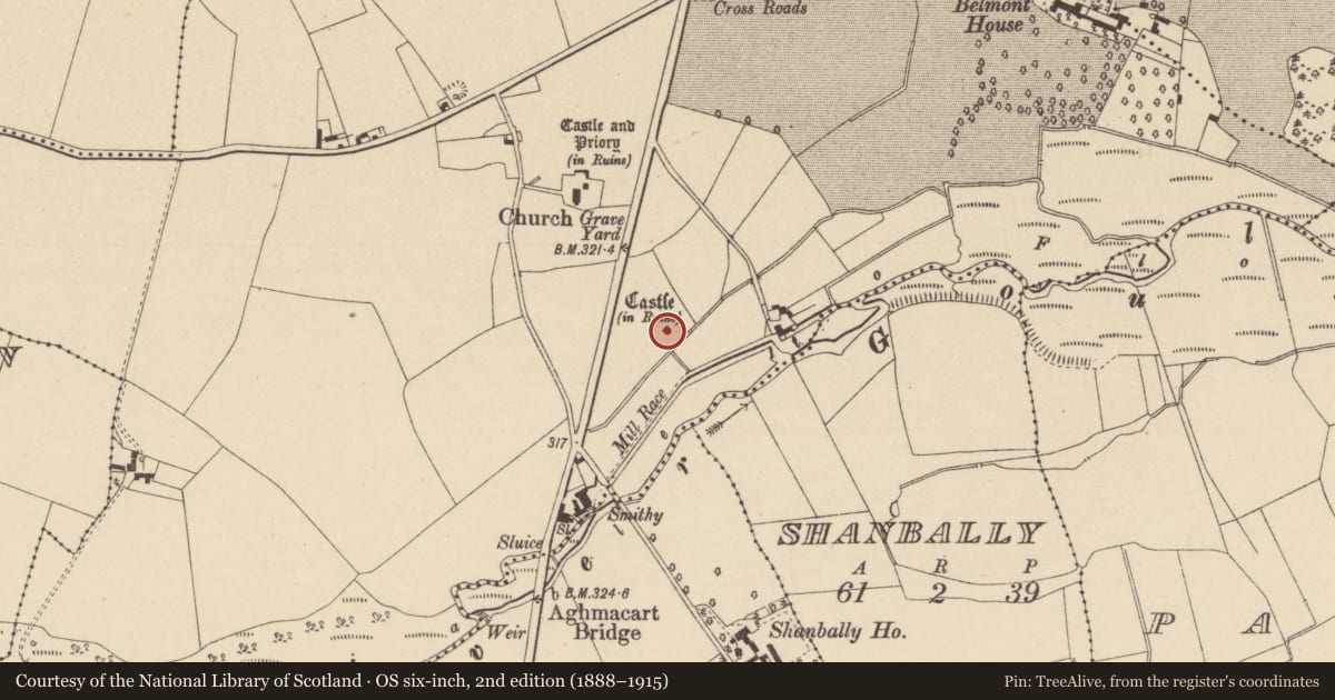 Ordnance Survey six-inch map, 2nd edition (1888–1915) covering the location of Castle - tower house, Aghmacart, County Laois, with a pin at the register's coordinates