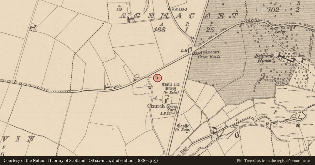 Ordnance Survey six-inch map, 2nd edition (1888–1915) covering the location of Linear earthwork, Aghmacart, County Laois, with a pin at the register's coordinates