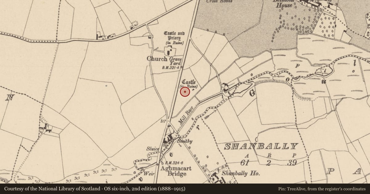 Ordnance Survey six-inch map, 2nd edition (1888–1915) covering the location of Bawn, Aghmacart, County Laois, with a pin at the register's coordinates