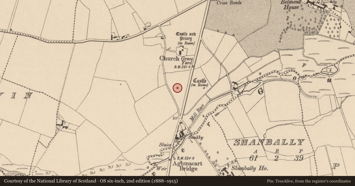 Ordnance Survey six-inch map, 2nd edition (1888–1915) covering the location of Linear earthwork, Aghmacart, County Laois, with a pin at the register's coordinates