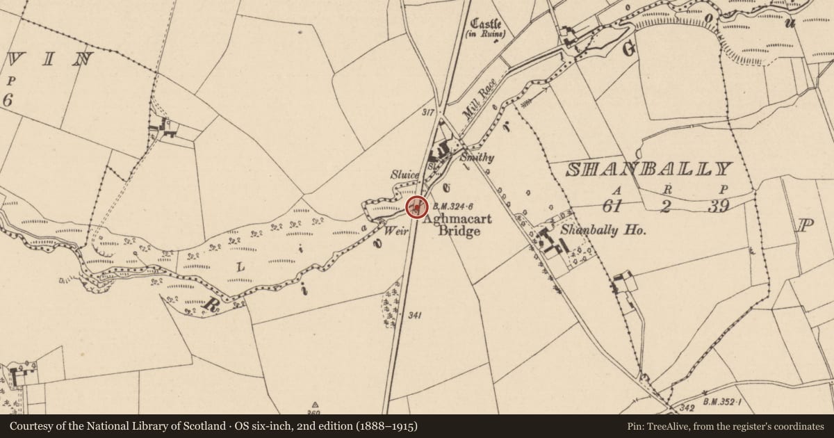 Ordnance Survey six-inch map, 2nd edition (1888–1915) covering the location of Bridge, Oldtown, County Laois, with a pin at the register's coordinates