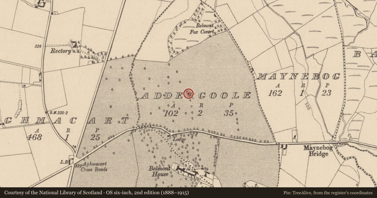 Ordnance Survey six-inch map, 2nd edition (1888–1915) covering the location of Graveyard, Addergoole, County Laois, with a pin at the register's coordinates