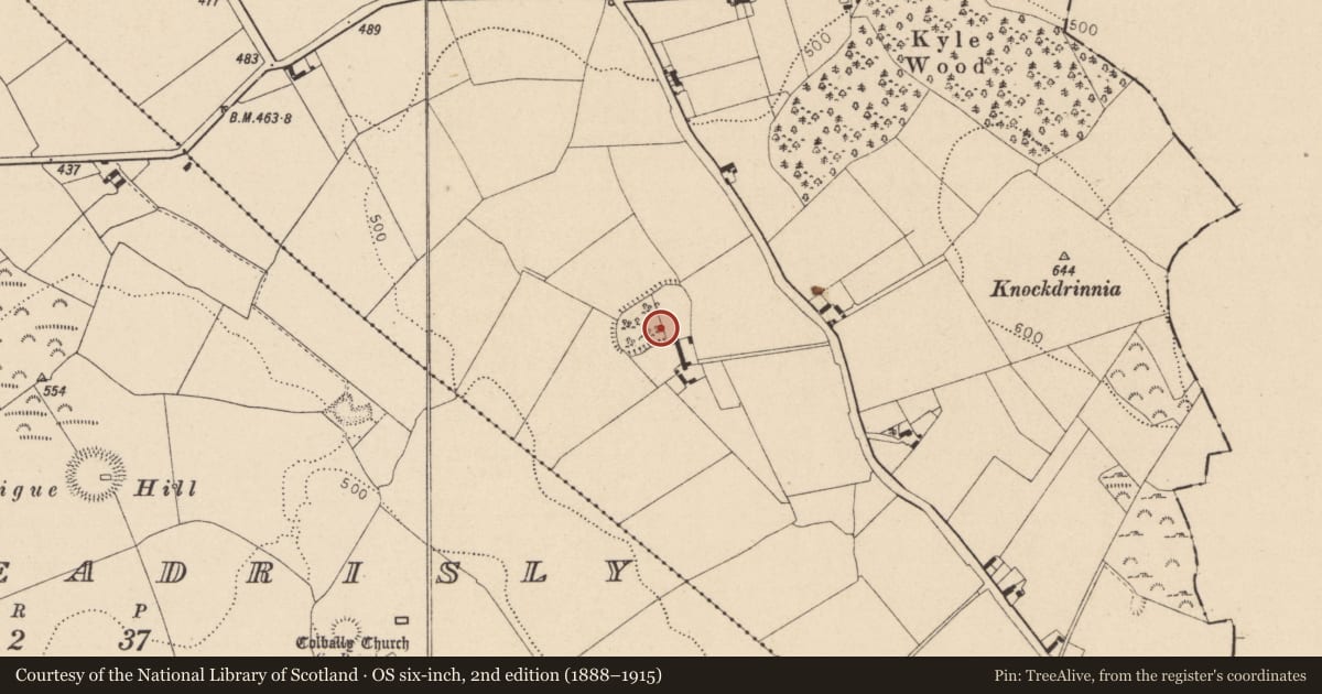 Ordnance Survey six-inch map, 2nd edition (1888–1915) covering the location of Enclosure, Kyle, County Laois, with a pin at the register's coordinates