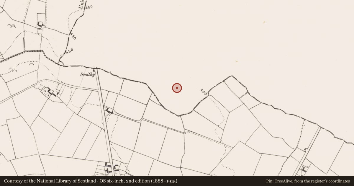 Ordnance Survey six-inch map, 2nd edition (1888–1915) covering the location of Ringfort - rath, Ballinfrase, County Laois, with a pin at the register's coordinates
