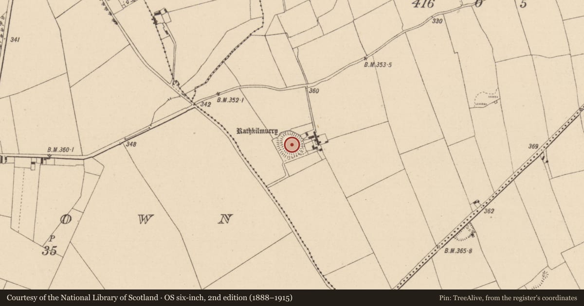 Ordnance Survey six-inch map, 2nd edition (1888–1915) covering the location of Ringfort - rath, Parknahown, County Laois, with a pin at the register's coordinates