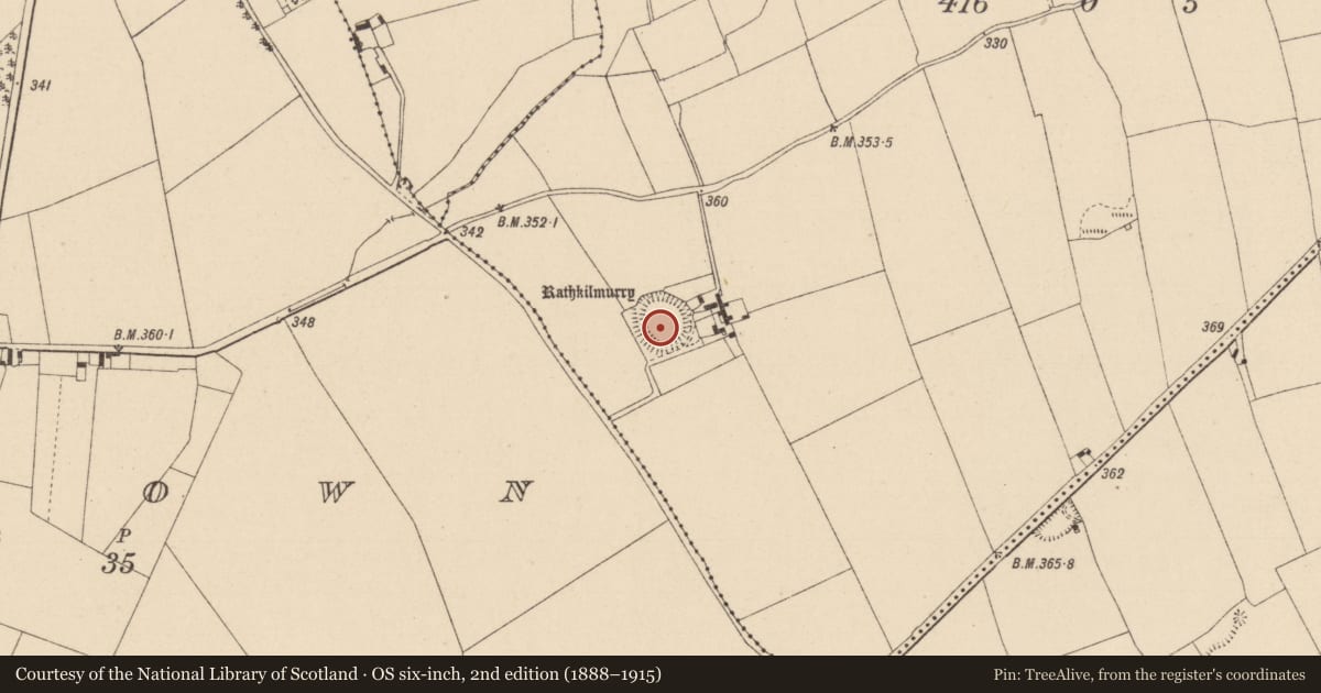 Ordnance Survey six-inch map, 2nd edition (1888–1915) covering the location of Church, Parknahown, County Laois, with a pin at the register's coordinates