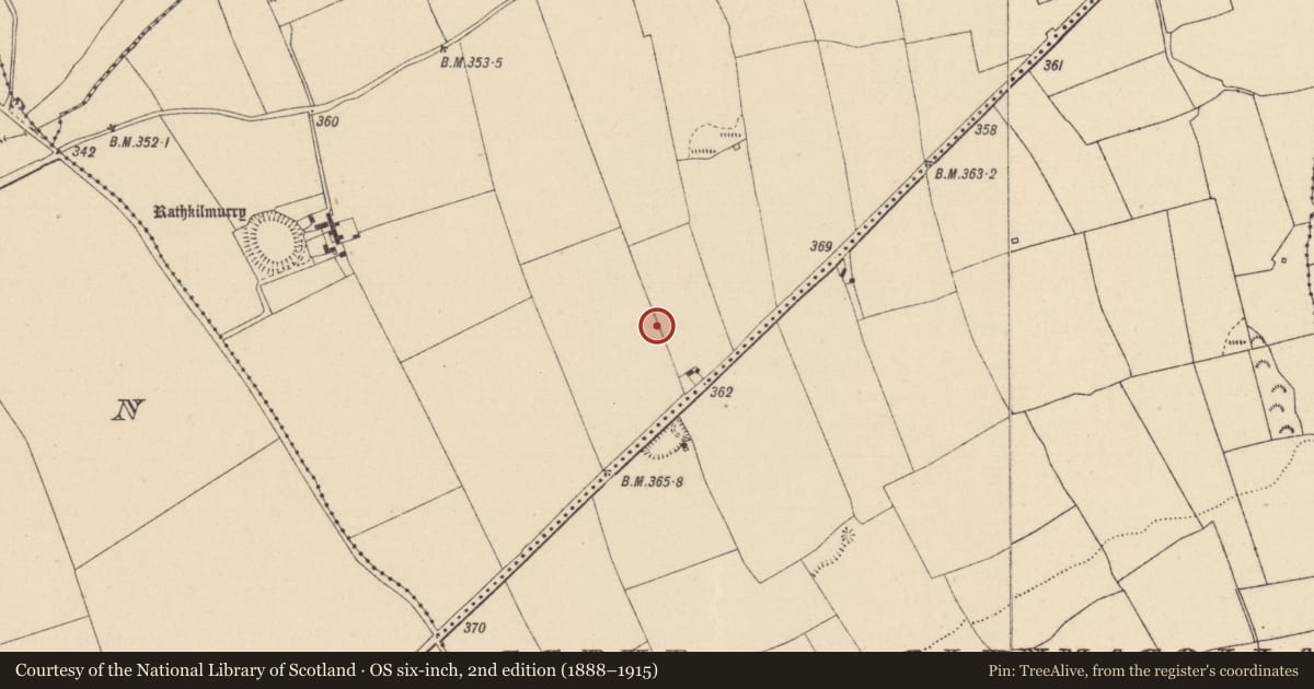 Ordnance Survey six-inch map, 2nd edition (1888–1915) covering the location of Ringfort - rath, Parknahown, County Laois, with a pin at the register's coordinates