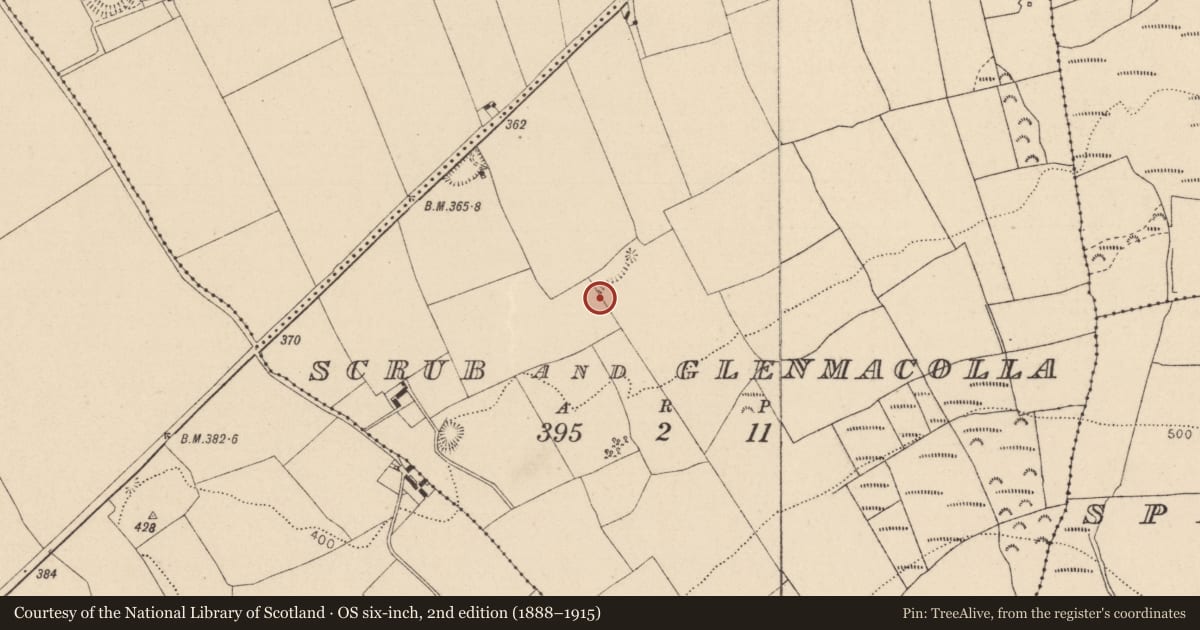 Ordnance Survey six-inch map, 2nd edition (1888–1915) covering the location of Enclosure, Scrub And Glenmacolla, County Laois, with a pin at the register's coordinates