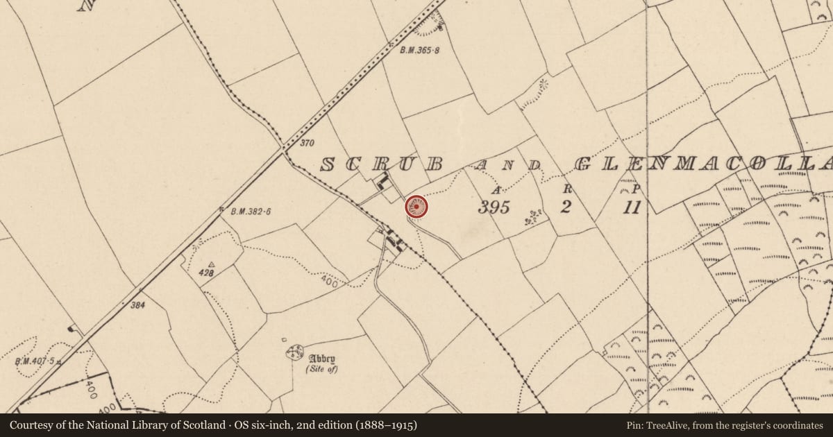 Ordnance Survey six-inch map, 2nd edition (1888–1915) covering the location of Quarry, Scrub And Glenmacolla, County Laois, with a pin at the register's coordinates