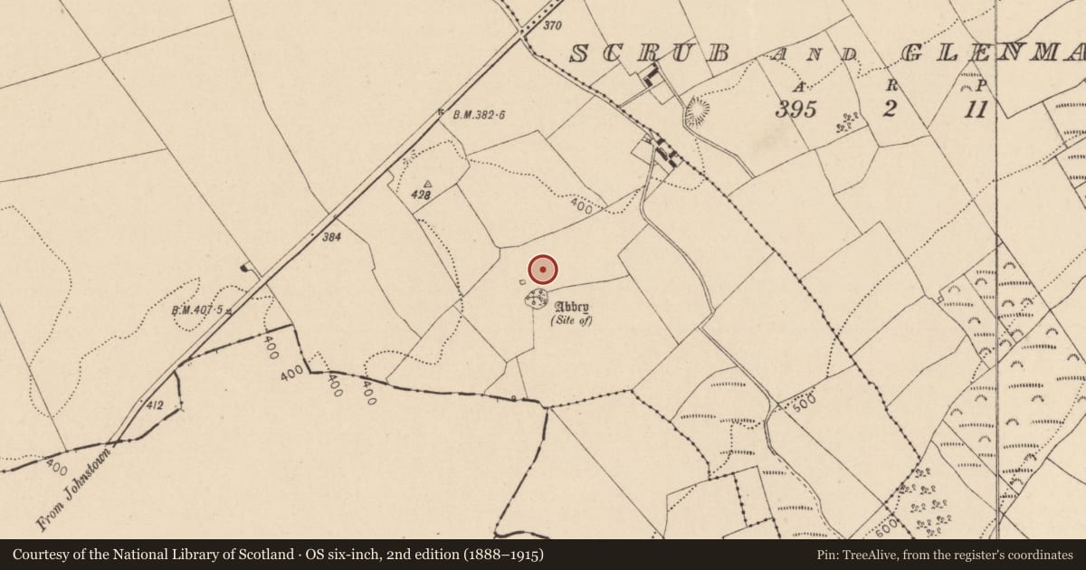 Ordnance Survey six-inch map, 2nd edition (1888–1915) covering the location of Enclosure, Oldtown, County Laois, with a pin at the register's coordinates