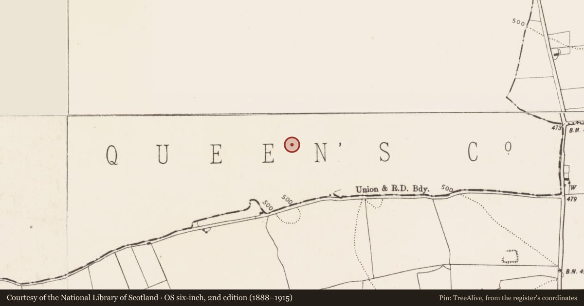 Ordnance Survey six-inch map, 2nd edition (1888–1915) covering the location of Enclosure, Graigueadrisly, County Laois, with a pin at the register's coordinates
