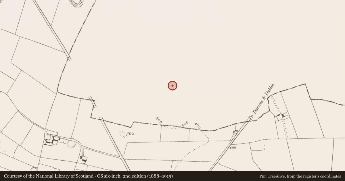Ordnance Survey six-inch map, 2nd edition (1888–1915) covering the location of Ringfort - rath, Oldtown, County Laois, with a pin at the register's coordinates