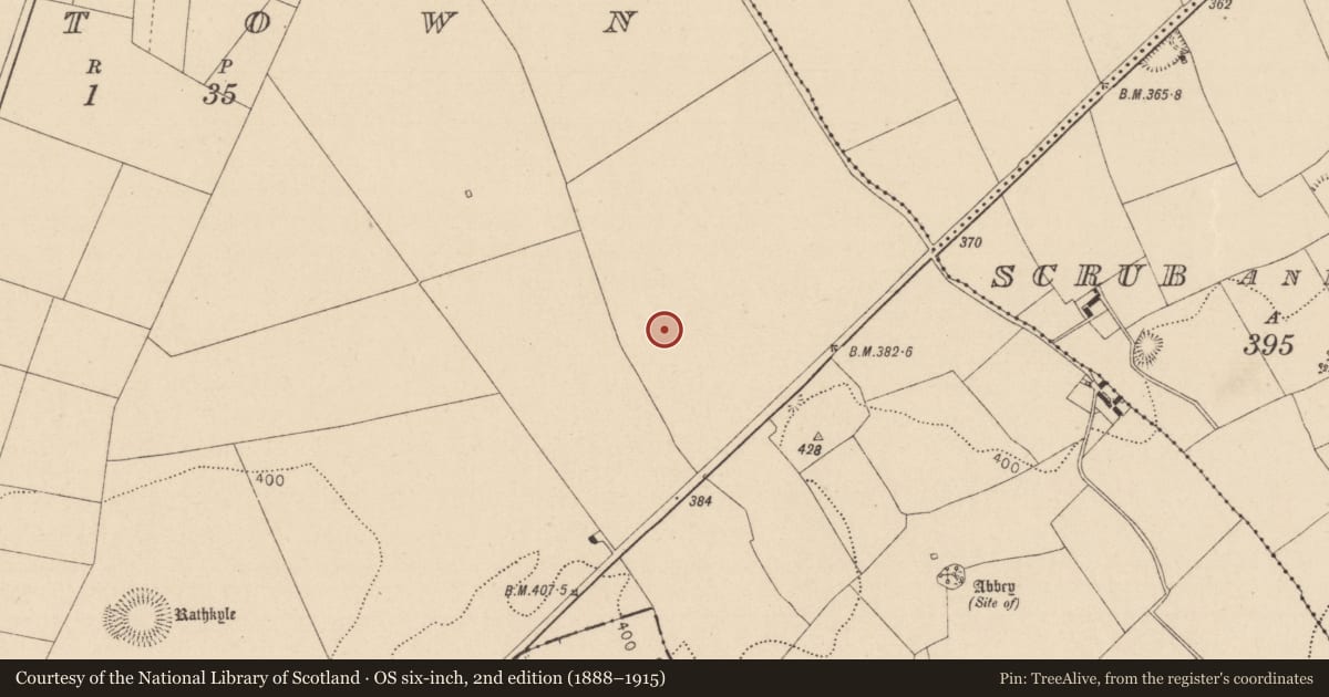 Ordnance Survey six-inch map, 2nd edition (1888–1915) covering the location of Enclosure, Oldtown, County Laois, with a pin at the register's coordinates