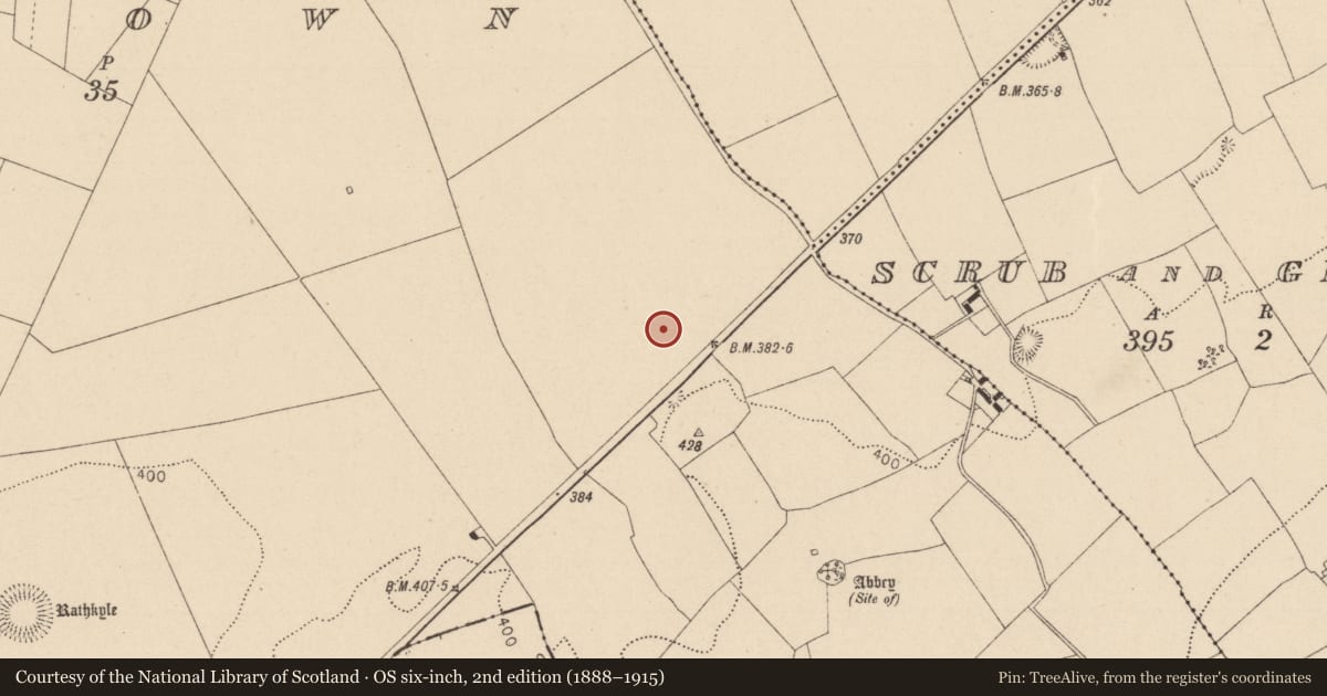 Ordnance Survey six-inch map, 2nd edition (1888–1915) covering the location of Enclosure, Oldtown, County Laois, with a pin at the register's coordinates