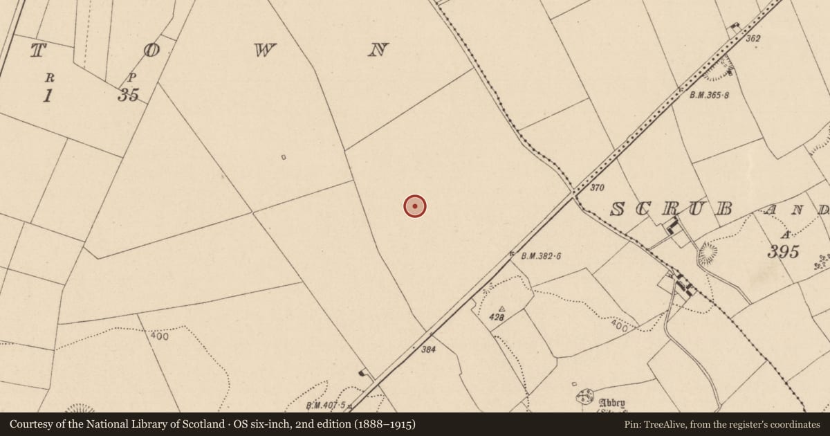 Ordnance Survey six-inch map, 2nd edition (1888–1915) covering the location of Enclosure, Oldtown, County Laois, with a pin at the register's coordinates