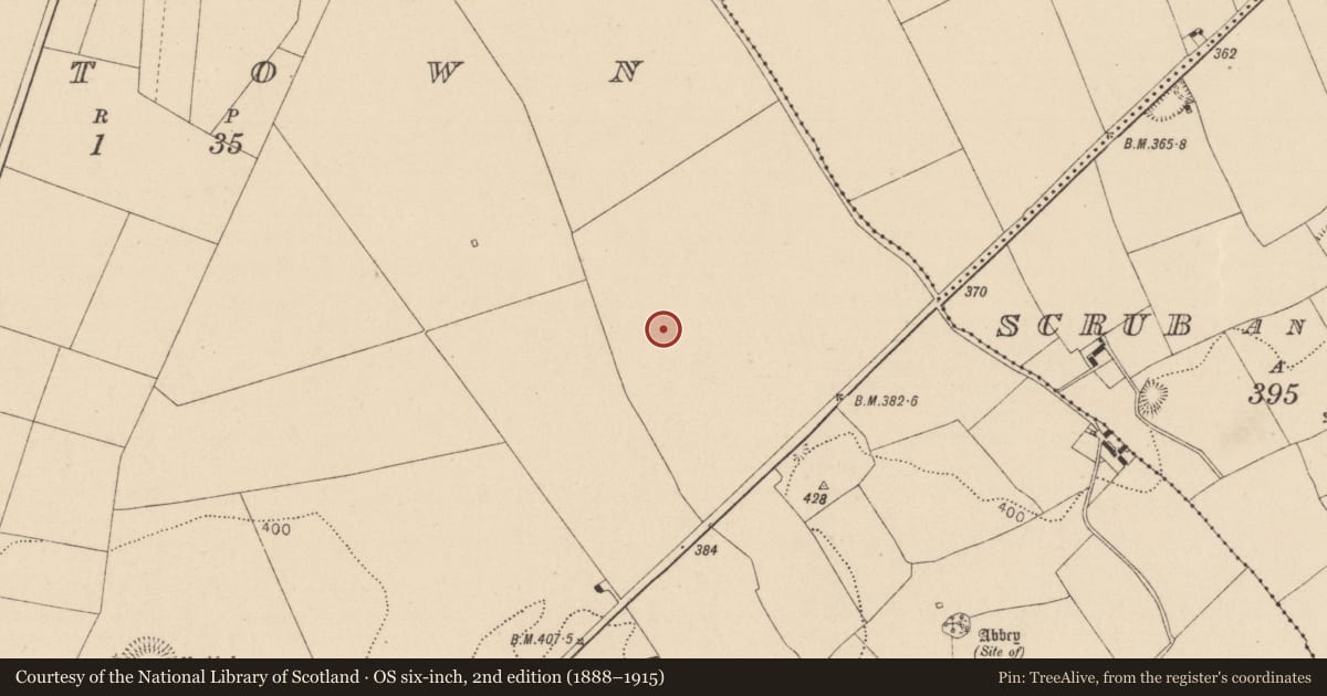 Ordnance Survey six-inch map, 2nd edition (1888–1915) covering the location of Enclosure, Oldtown, County Laois, with a pin at the register's coordinates