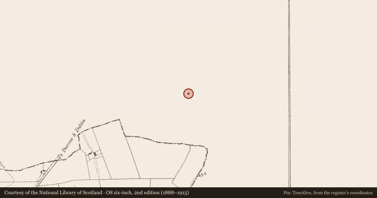 Ordnance Survey six-inch map, 2nd edition (1888–1915) covering the location of Enclosure, Oldtown, County Laois, with a pin at the register's coordinates