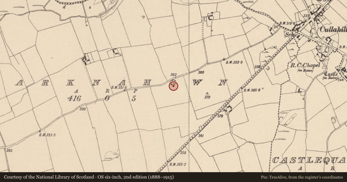 Ordnance Survey six-inch map, 2nd edition (1888–1915) covering the location of Enclosure, Parknahown, County Laois, with a pin at the register's coordinates