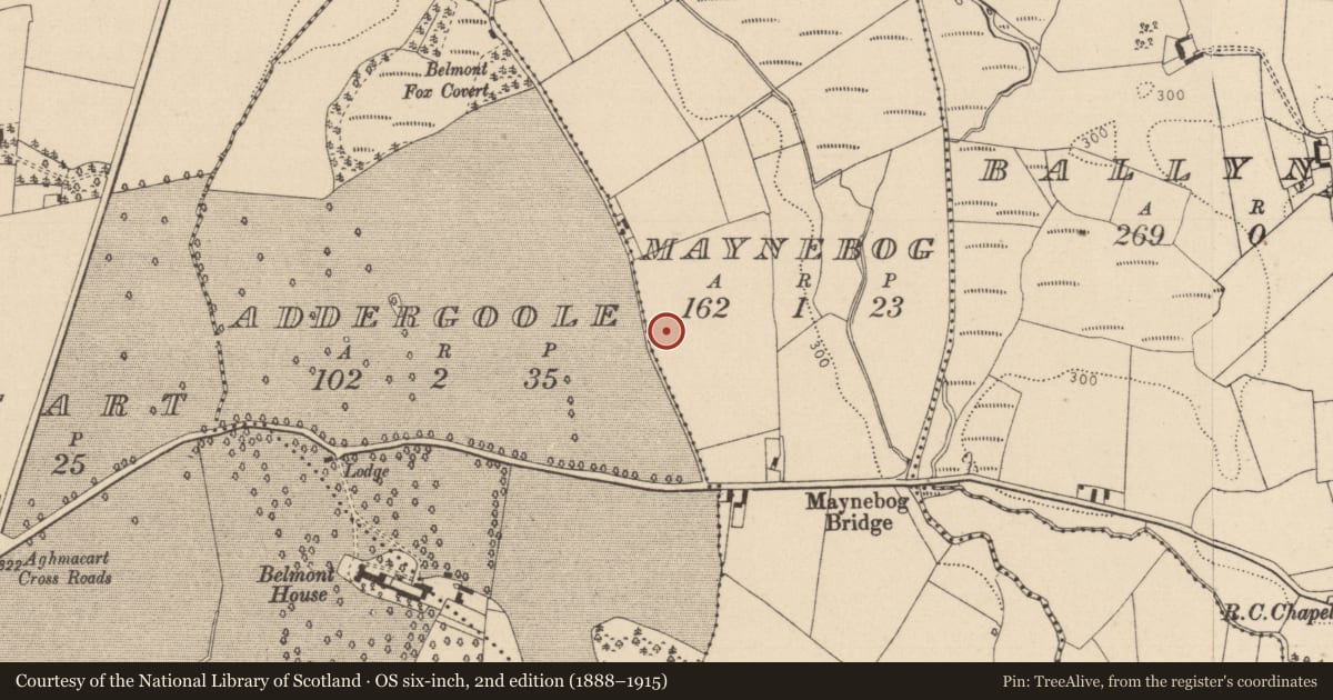 Ordnance Survey six-inch map, 2nd edition (1888–1915) covering the location of Enclosure, Maynebog, County Laois, with a pin at the register's coordinates