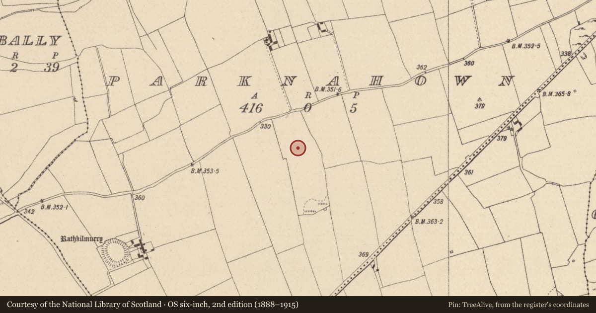 Ordnance Survey six-inch map, 2nd edition (1888–1915) covering the location of Enclosure, Parknahown, County Laois, with a pin at the register's coordinates