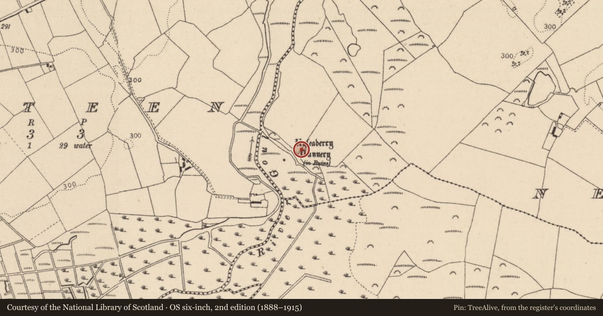 Ordnance Survey six-inch map, 2nd edition (1888–1915) covering the location of Religious house - unclassified, Newtown, County Laois, with a pin at the register's coordinates