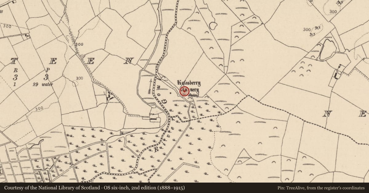 Ordnance Survey six-inch map, 2nd edition (1888–1915) covering the location of Enclosure, Newtown, County Laois, with a pin at the register's coordinates