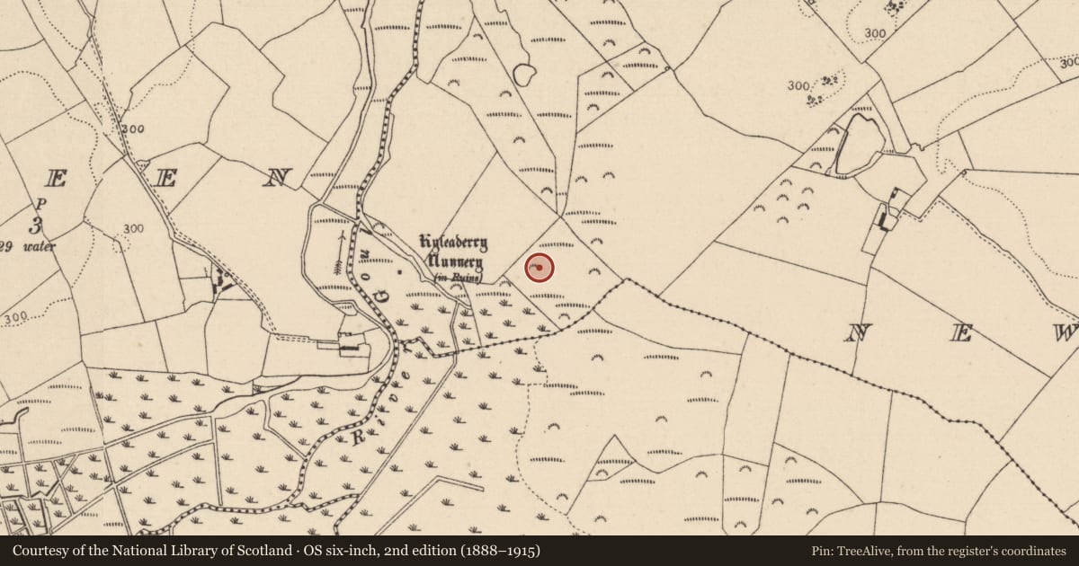 Ordnance Survey six-inch map, 2nd edition (1888–1915) covering the location of Enclosure, Newtown, County Laois, with a pin at the register's coordinates