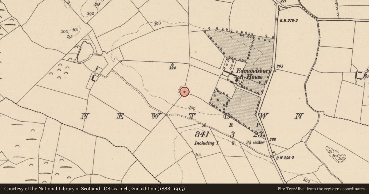 Ordnance Survey six-inch map, 2nd edition (1888–1915) covering the location of Enclosure, Newtown, County Laois, with a pin at the register's coordinates