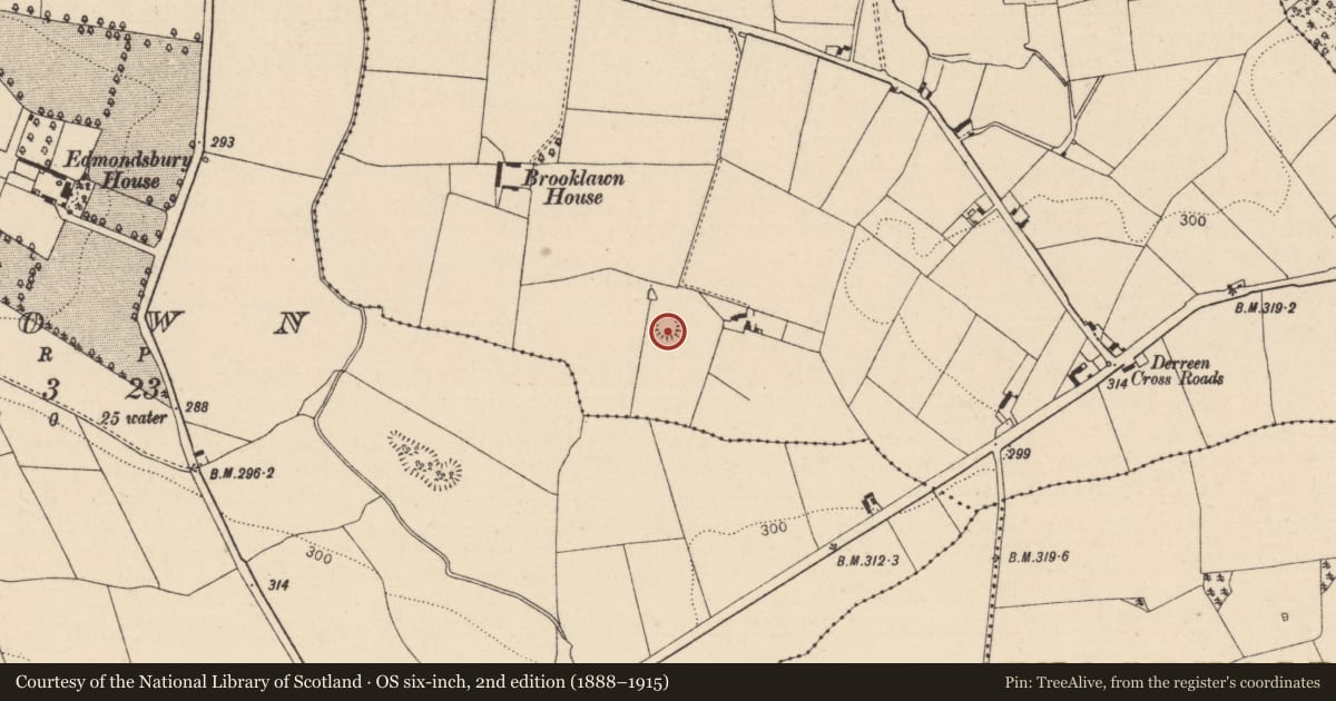 Ordnance Survey six-inch map, 2nd edition (1888–1915) covering the location of Ringfort - rath, Derreen And Carrowreagh, County Laois, with a pin at the register's coordinates